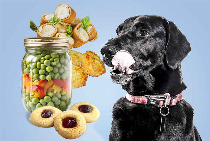 4 Quick and Easy Homemade 3-Ingredient Dog Treats