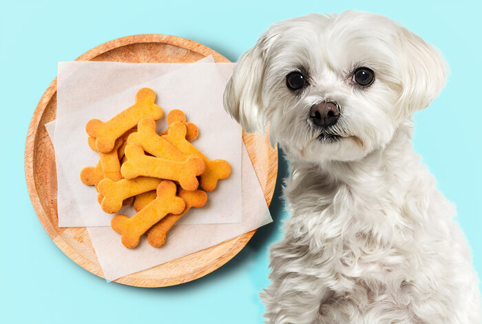 3 No-Fuss Recipes for Homemade Baked Dog Treats