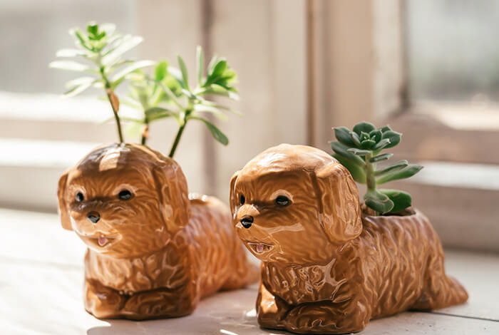 two succulent plants in dog shaped flower pots