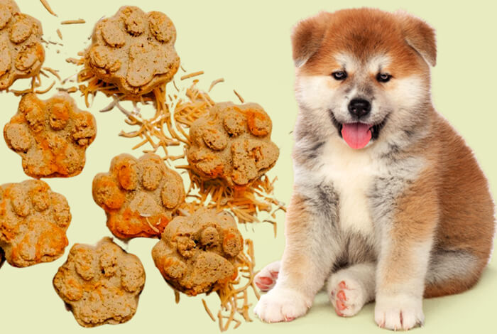 3 Homemade Puppy Treats with Cheese