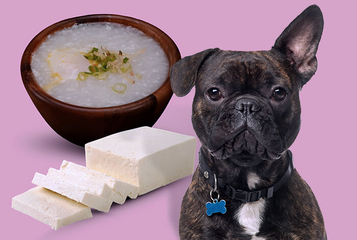 3 Very Digestible Dog Treats for Dogs with Acid Reflux