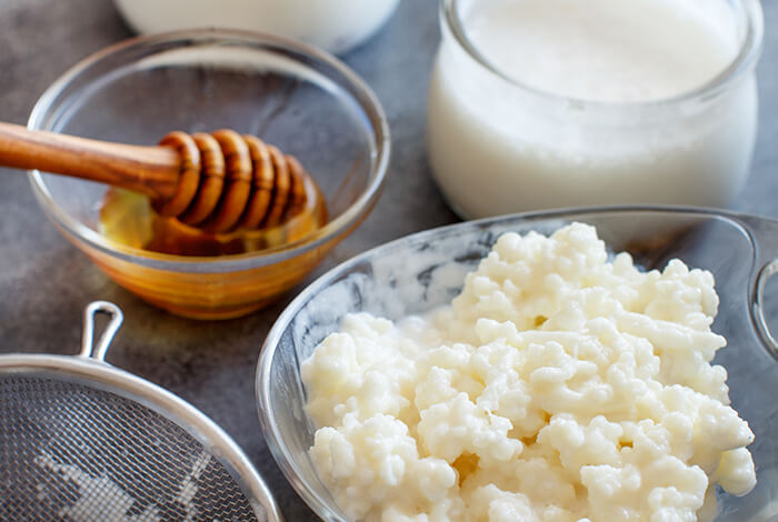 kefir grains separated from its liquid