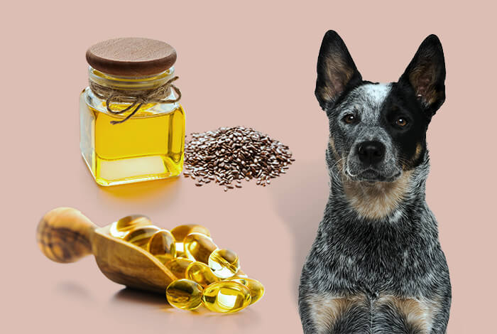 Flaxseed Oil vs. Fish Oil for Dogs: Which Is Better?