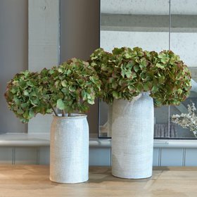 Hydrangea Stem Green