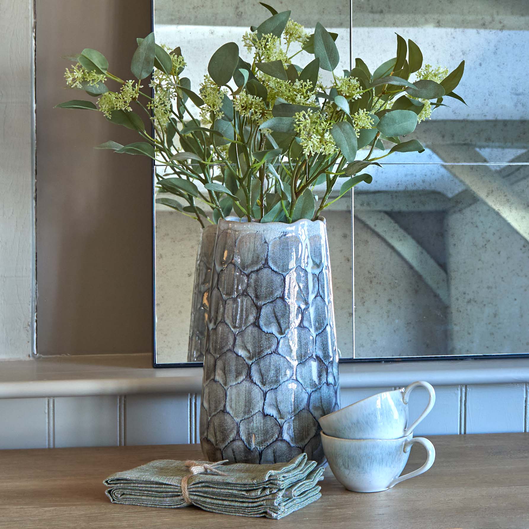 Eucalyptus Populus 65cms