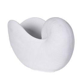 Large White Nautilus Shell