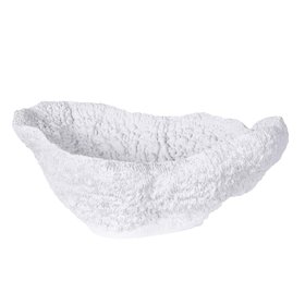 White Coral Decorative Bowl