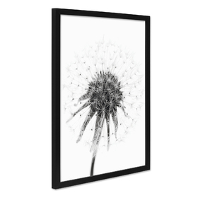 Poster "Pusteblume" mit Bilderrahmen 30x40 cm