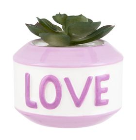 Mother's Day Faux Succulents, Violet