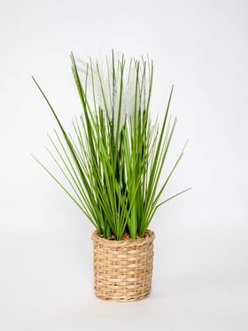 PEP&CO Home Grass Plant With Feathers in Wicker Pot