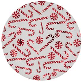 Christmas Theme Paper Plates