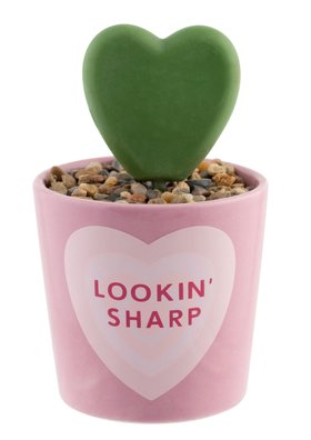 Valentines 'Lookin Sharp' Faux Plant