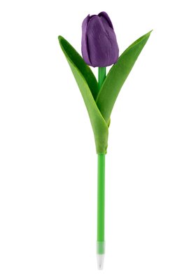 Single Purple Tulip
