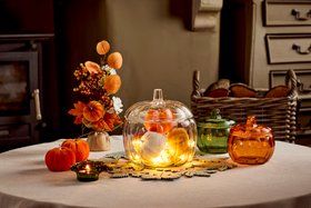 Autumn Home Range