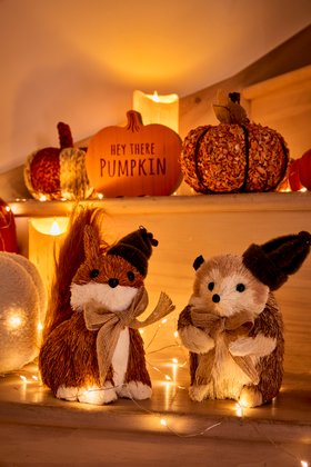 Autumn Home Range