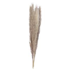 Ginger Ray Natural Pampas Grass Decorations