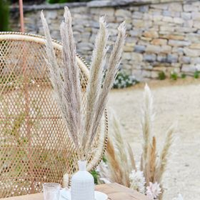 Natural Pampas Grass Decorations