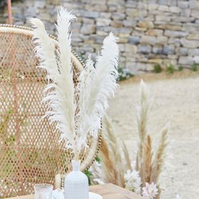 Bleached Pampas Grass Decorations