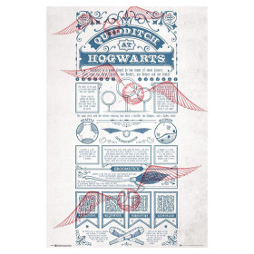 Harry Potter Quiddich Game Rules Poster 61x91.5cm