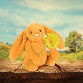 Jellycat Bashful Saffron Bunny 2 sizes!