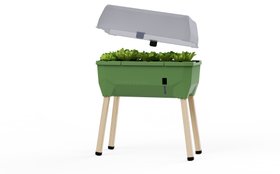 Terrassen-Hochbeet 'Sammy Salad' Grün Mit Haube und Wassertank