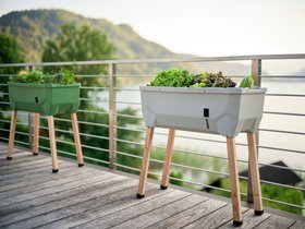 Terrassen-Hochbeet 'Sammy Salad' mit Wassertank