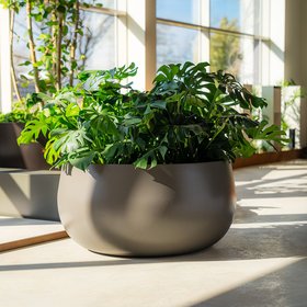 Pflanzschale LORA in 5 RAL-Farben