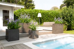 Pflanzgefäß Beton-Look Anthrazit Terrasse