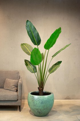 Kunstpflanze Strelitzie im Topf 160 cm