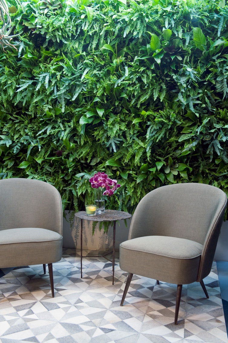 Grüne Wand -  Mobilane LivePanel PACK für Büro / Lounge / Homeoffice