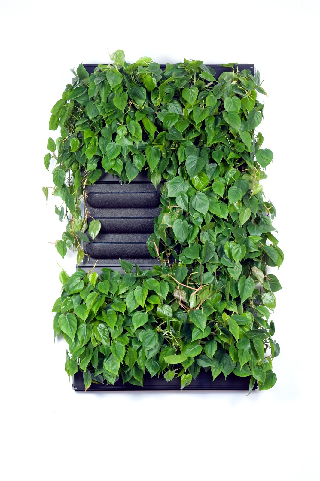 Vertikales Pflanzsystem für zu Hause & im Büro -  mobilane LivePanel