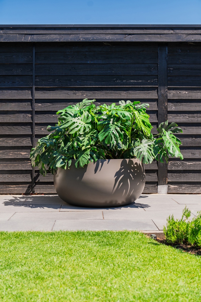 Pflanzschale LORA in 5 RAL-Farben