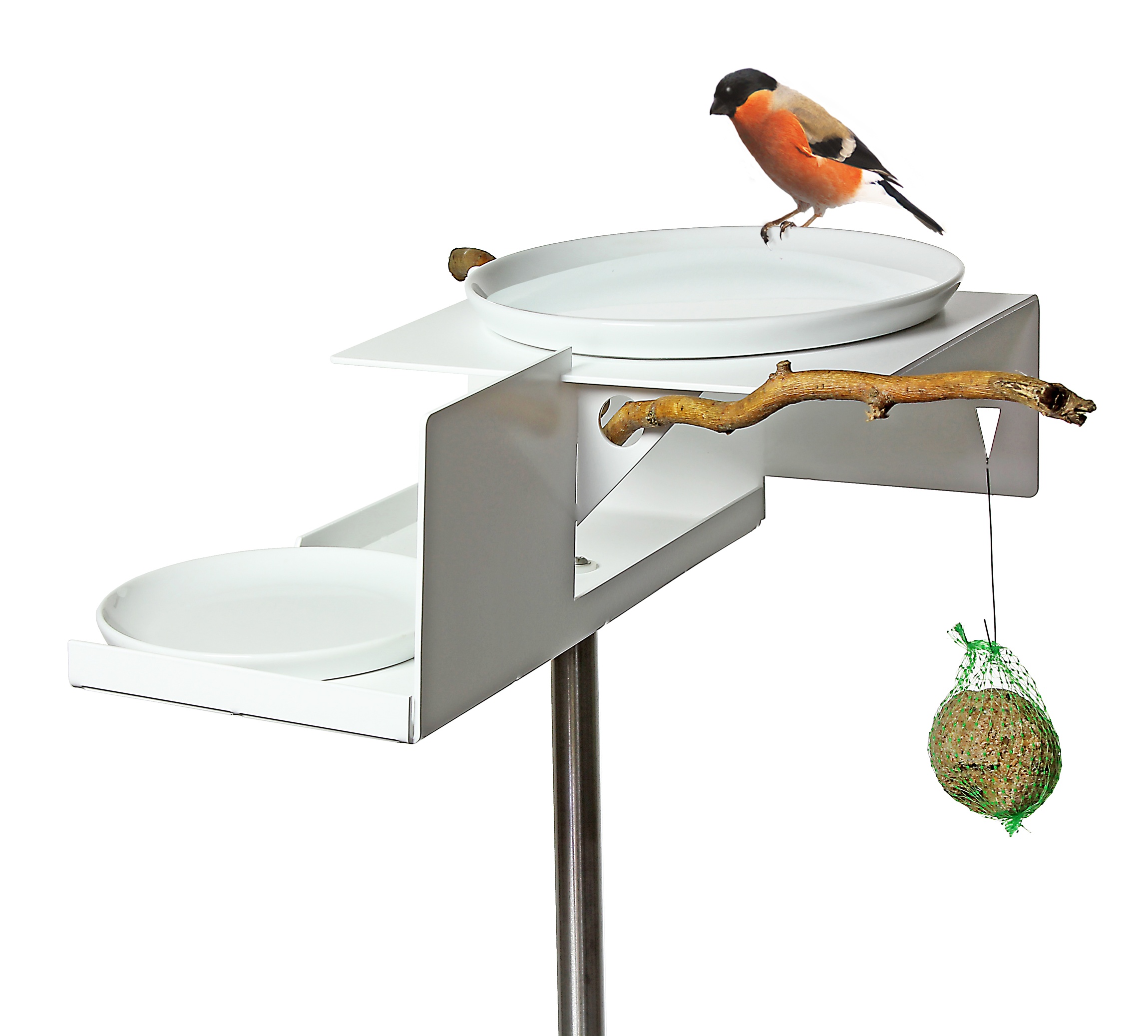 Vogeltränke BirdBath  (2)