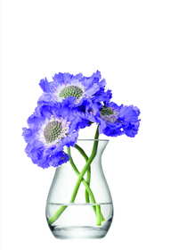 Mini Posy Vase
