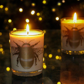 Wild Fig Scented Candle lifestyle