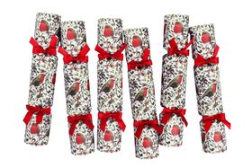 Christmas Crackers - Robins