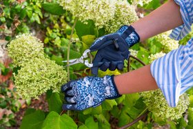 Rabbits and Berries Gardening Gloves and Snips