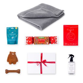 Charley Chau Christmas Gift Box Double Fleece Edition - Powder Grey