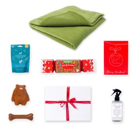 Charley Chau Christmas Gift Box Double Fleece Edition - Moss Green