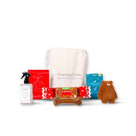 Charley Chau Stocking Filler Christmas Gift Bag For Dogs
