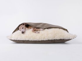 Classic Charley Chau Dog Snuggle Bed in Velour - Brown Mole (Limited Edition)