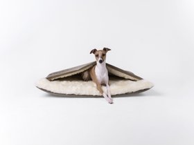 Charley Chau Burrow Bag Dog Bed in Velour - Brown Mole (Limited Edition)