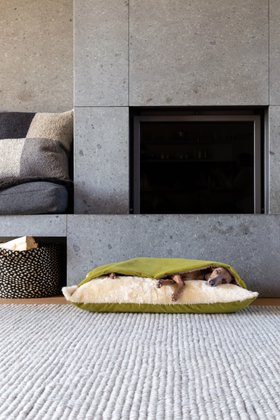 Charley Chau Dog Snuggle Bed - Styled to Order in Velour 'Lime'