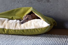 Charley Chau Dog Snuggle Bed - Styled to Order in Velour 'Lime'