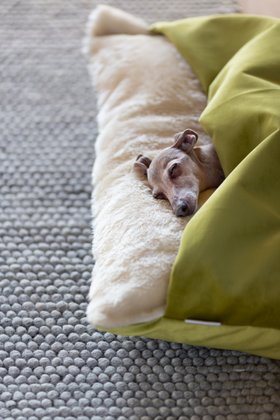 Charley Chau Dog Snuggle Bed - Styled to Order in Velour 'Lime'