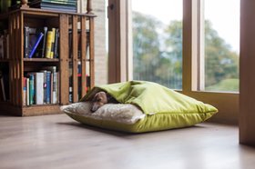 Charley Chau Dog Snuggle Bed - Styled to Order in Velour 'Lime'