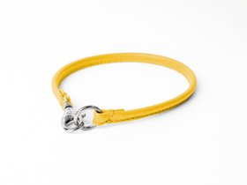 ID Tag Collar / House Collar - Daffodill