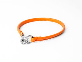 ID Tag Collar / House Collar - Orange Peel