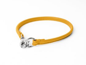ID Tag Collar / House Collar - Daffodil