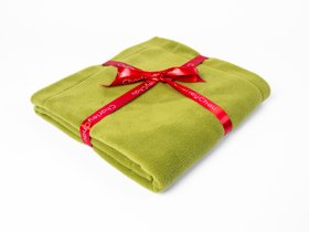 Charley Chau Double Fleece Dog Blanket in Moss